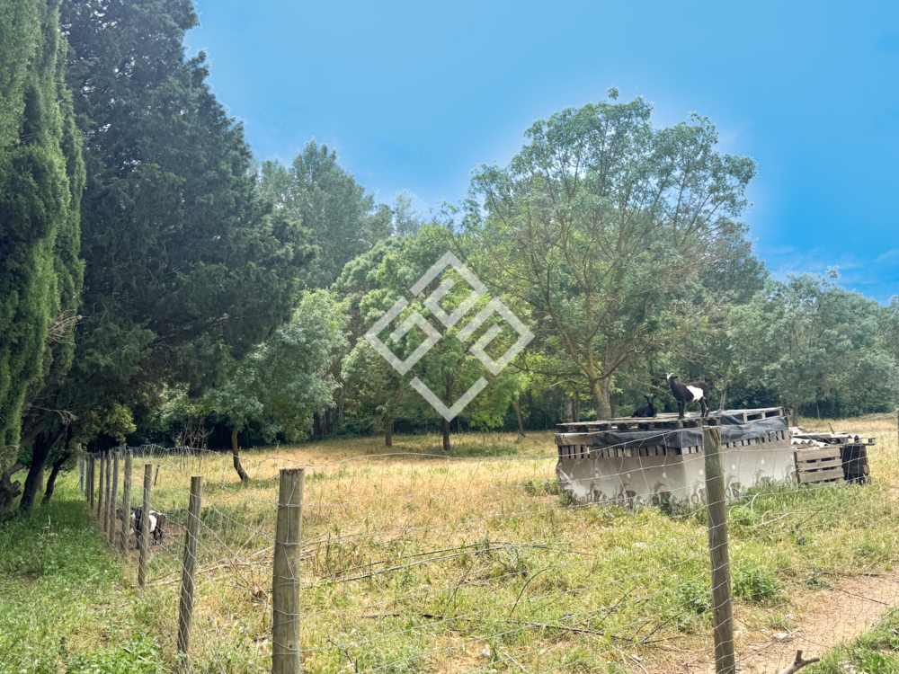 � vendre  Maison Bize-Minervois (11120)