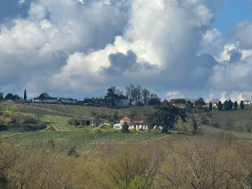 � vendre  Propri�t�/ch�teau Cadillac (33410)