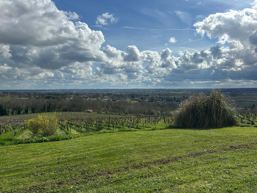 � vendre  Propri�t�/ch�teau Cadillac (33410)