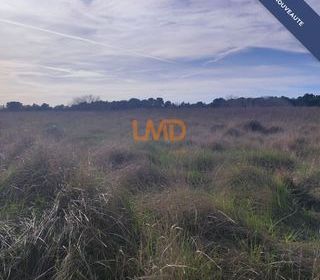  Terrain � vendre 18781 m�