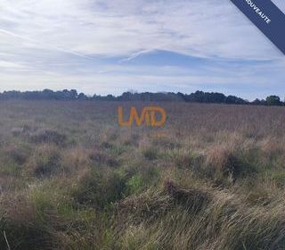  Terrain � vendre 18781 m�