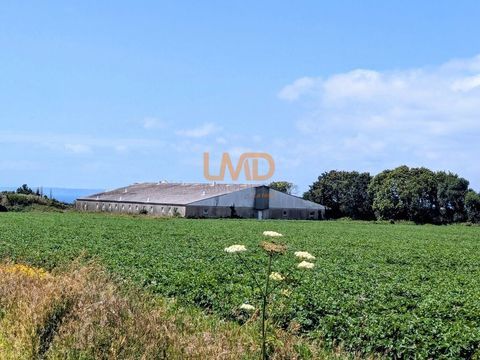 Ancienne Porcherie et Terrain Agricole 335000 29100 Kerlaz