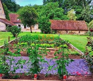  Maison � vendre 9 pi�ces 234 m�