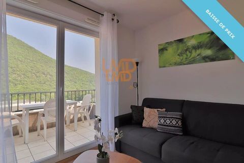   Appartement T2 Cabine - Terrasse - Station Thermale D'av�ne Appartement - 2 pi�ce(s) - 38 m�