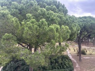  Appartement � vendre 1 pi�ce 20 m�