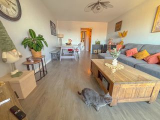  Appartement � vendre 3 pi�ces 72 m�