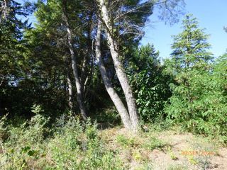  Terrain � vendre 1519 m�