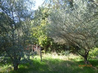  Terrain � vendre 1519 m�