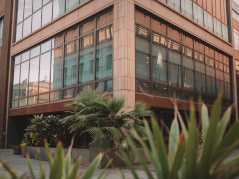 Immeuble libre / 551 m&sup2;/ Centre Ville de Lyon 1940000 551 m�$$1 940 000 &euro; 