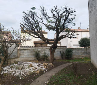  Maison � louer 5 pi�ces 81 m�