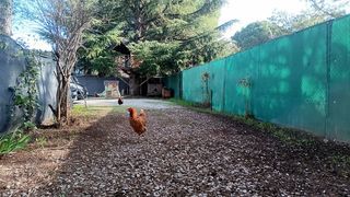  Maison � vendre 4 pi�ces 81 m�