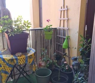  Appartement � vendre 2 pi�ces 40 m�