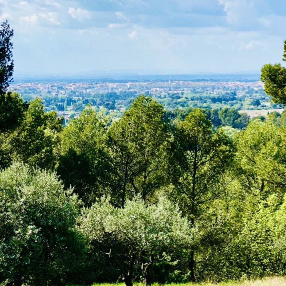 � vendre  Maison Carpentras (84200)