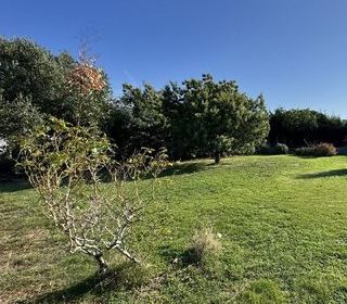  Terrain � vendre 1 pi�ce 530 m�