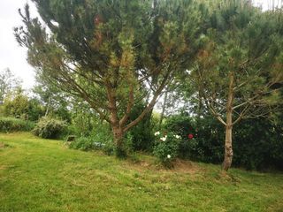  Terrain � vendre 1 pi�ce 9295 m�