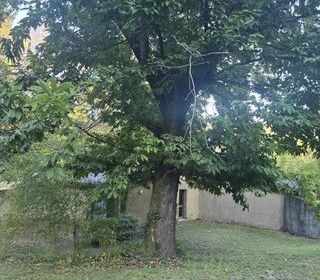  Maison � vendre 4 pi�ces 132 m�