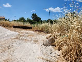  Terrain � vendre 1 pi�ce 787 m�