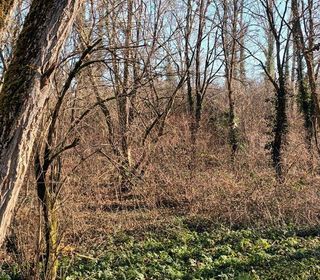  Terrain � vendre 1 pi�ce 5516 m�