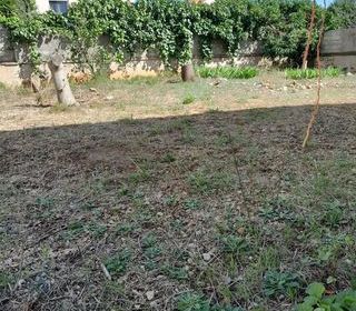  Terrain � vendre 1 pi�ce 340 m�