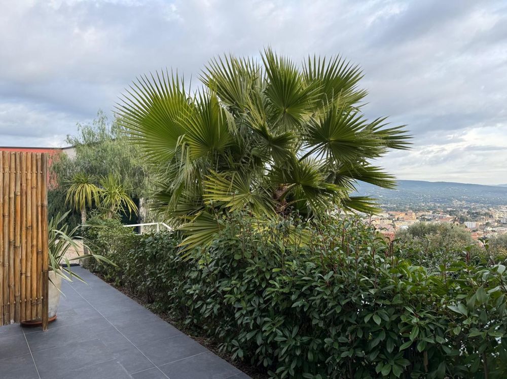 � vendre  Maison La Ciotat (13600)