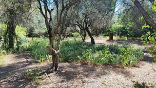  Terrain � vendre 1 pi�ce 