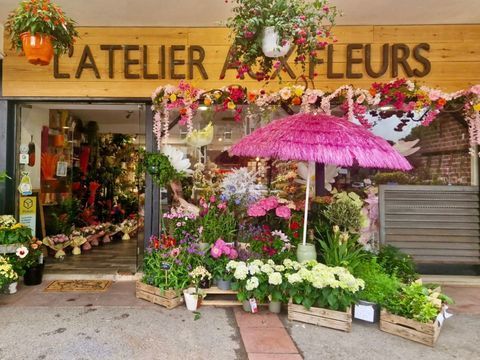 Activit&eacute; commerciale fond de commerce/fleuriste /tr&egrave;s bo 128000 13380 Plan de cuques