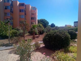  Appartement � vendre 3 pi�ces 42 m�