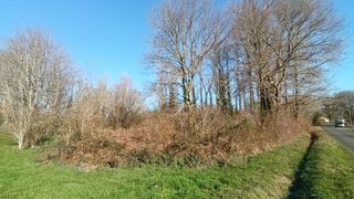  Terrain � vendre 1 pi�ce 5516 m�