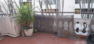  Appartement � vendre 8 pi�ces 238 m�