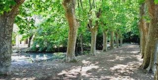  Appartement � vendre 3 pi�ces 57 m�