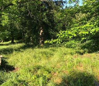  Terrain � vendre 1 pi�ce 753 m�