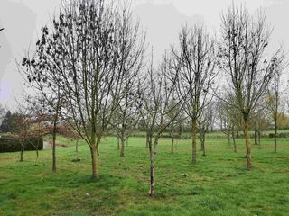  Terrain � vendre 1 pi�ce 12264 m�