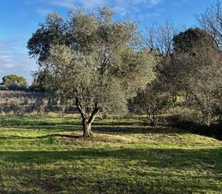  Maison � louer 7 pi�ces 136 m�