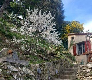  Maison � vendre 5 pi�ces 120 m�