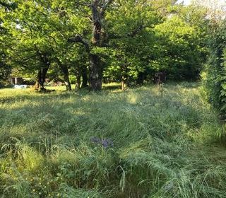  Terrain � vendre 1 pi�ce 753 m�