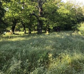  Terrain � vendre 1 pi�ce 753 m�