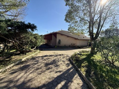   Maison + maison de 45 m2 ind�pendante Maison - 5 pi�ce(s) - 170 m�