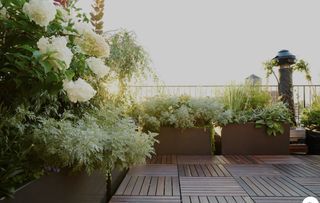  Appartement � vendre 4 pi�ces 85 m�