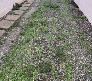  Maison � vendre 5 pi�ces 86 m�