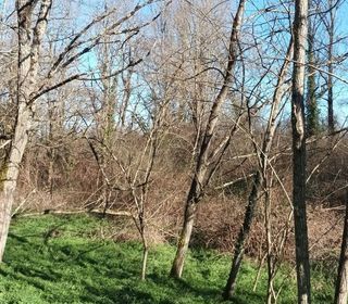  Terrain � vendre 1 pi�ce 5516 m�