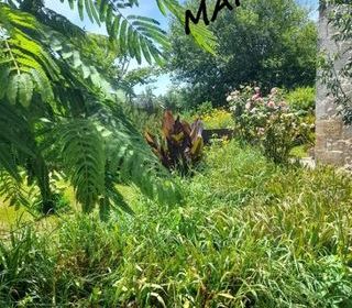  Maison � vendre 10 pi�ces 240 m�