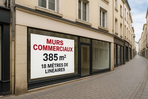 Local commercial MURS COMMERCIAUX 475000 40100 Dax
