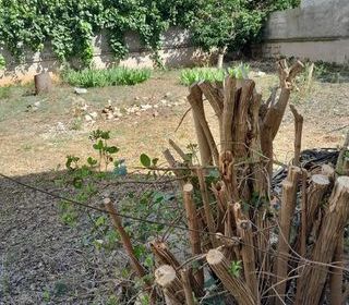  Terrain � vendre 1 pi�ce 340 m�