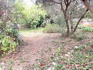  Terrain � vendre 1 pi�ce 340 m�