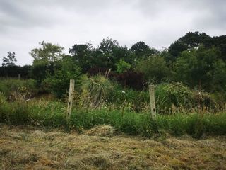  Terrain � vendre 1 pi�ce 9295 m�