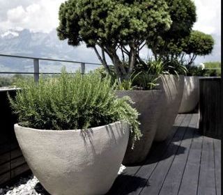  Appartement � vendre 3 pi�ces 65 m�