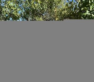  Maison � vendre 1 pi�ce 150 m�