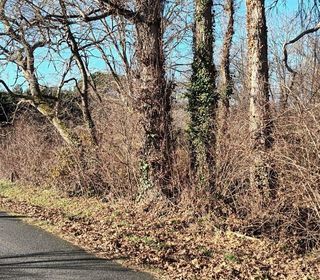  Terrain � vendre 1 pi�ce 5516 m�