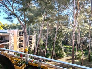  Appartement � vendre 4 pi�ces 80 m�