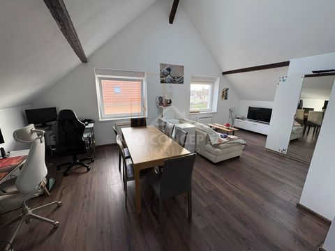   Beau 2 pi�ces de 62 m2 habitables avec cave sis Offendorf. Appartement - 2 pi�ce(s) - 62 m�